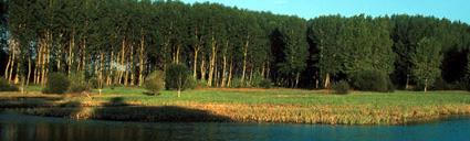 Anillo Verde de Vitoria-Gasteiz