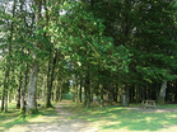 GR-T2/Erlaitz-Oiartzun