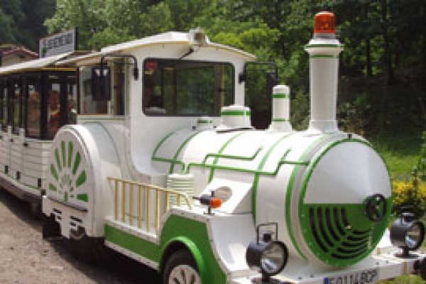 Tren Verde Arditurri