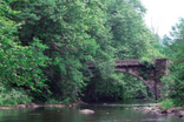 PR-Gi 1001 /Bosques de Ugaldetxo