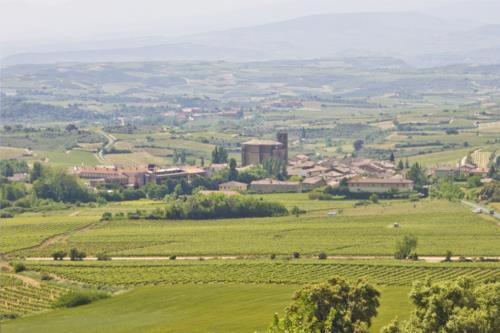 entorno 2 casa rural la molinera etxea en Alava