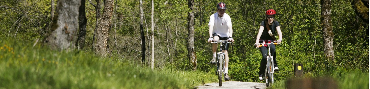 Recorrido por Armentia