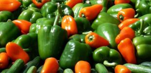 mercado Santo Tomás