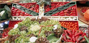 mercados y ferias Euskadi