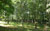 Parque natural pagoeta