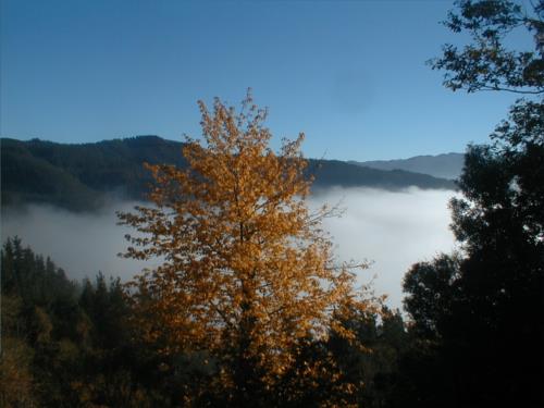 paisaje casa rural ametzola en Vizcaya