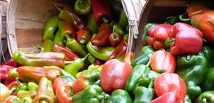 Productos de Euskadi