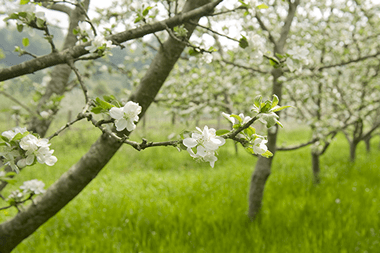 5388652594_ce85c25084_b