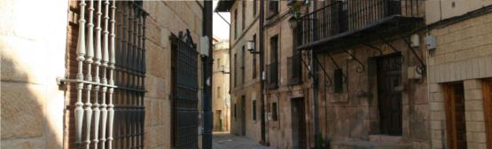 Llanada Alavesa: El Camino de Santiago